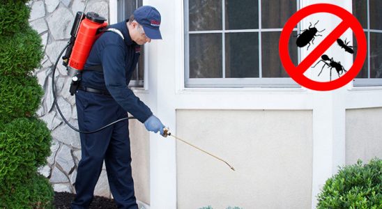Çelebi Böcek İlaçlama böcek ilaçlama ve haşere kontrolü — ilaclama-tr.com